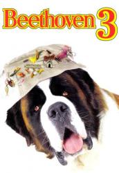 Beethoven 3
