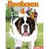 Beethoven 4