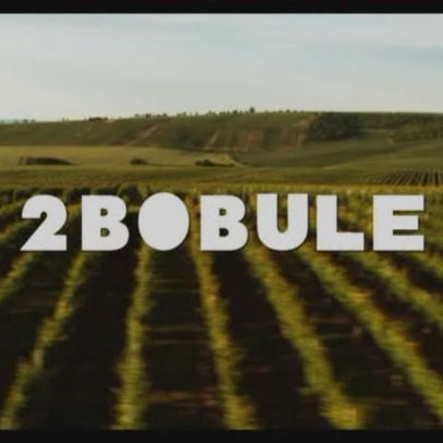 2bobule