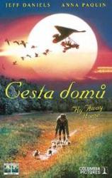 Cesta domů Cesta domů