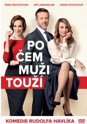 Po čem muži touží Po čem muži touží