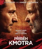 Příběh kmotra Příběh kmotra