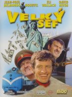 Velký šéf Velký šéf