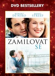 Zamilovat se