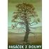 Pasáček z doliny Pasáček z doliny